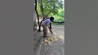 Bersih-Bersih Halaman rumah dulu mas ☺