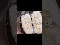真面目おにぎり ツナマヨ #shorts @PIE_MART