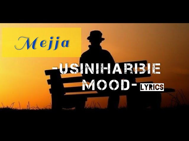 Mejja - Usiniharibie Mood (Official Lyrics) class=