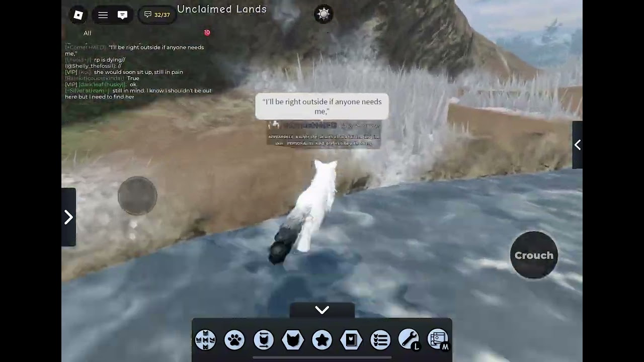 Roleplaying as a loner med cat!