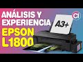 Análisis y Experiencia de Uso Epson L1800 - Impresora A3 y A3+