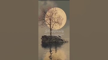 سورة المؤمنون / القارئ : بدر البشر