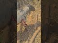 fu #funny #comedy