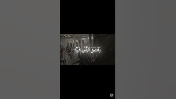 الشيخ د.محمد اللحيدان | سورة مريم                #محمد_اللحيدان #سورة_مريم #اكسبلور