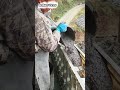 The process of pouring concrete onto building sections using simple tools #shorts