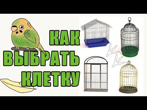 КЛЕТКА ДЛЯ ПОПУГАЯ | КАК ВЫБРАТЬ УДОБНУЮ КЛЕТКУ ДЛЯ ПОПУГАЕВ | ОБЗОР КЛЕТОК