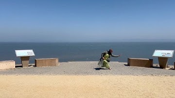 Xing Yi Quan Great Linking Form - Full Demo (Back View)    形意拳綜合套路 - 全套(背向)演練