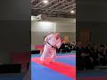 Amazing Martial Arts Team Demo at World Championships #karate #taekwondo #blackbelt #martialarts