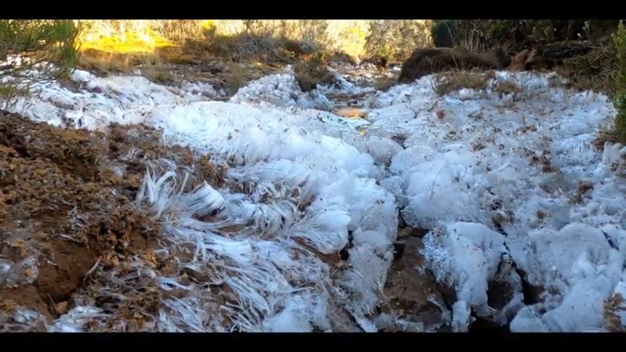 LES SENTIERS DE LA REUNION