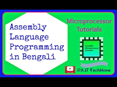 Assembly Language Programming-character output display