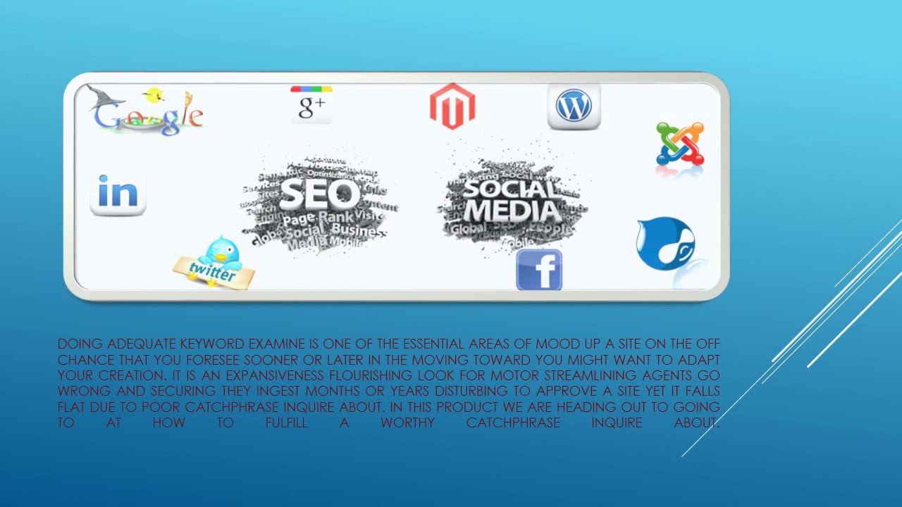 seo services in new york