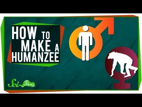Video: Can A Monkey Be Crossed With A Human? - Alternative View