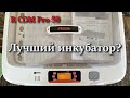 Инкубатор R COM Pro 50. Лучший инкубатор?