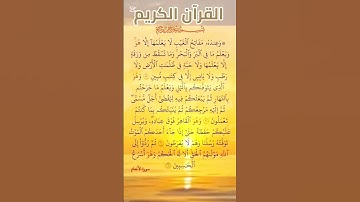 #سورة_الأنعام #علي_جابر #القرآن_الكريم #اكسبلور #المصحف #duet #دويتو #quran #تيك_توك #لايك