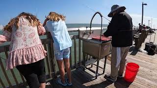 Myrtle Beach Springmaid Pier Spanish Mackerel  Fishing 南卡2023秋釣馬鮫