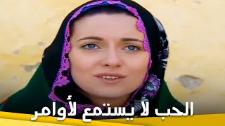 الحب لا يستمع لأوامر | فيلم دراما الحلقة الكاملة (مترجم للعربية)