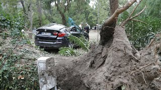 Orages en Corse : de Sagone à Calvi, la route de la désolation