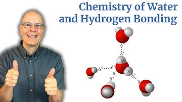 Water and Hydrogen Bonding: What you HAVE to know for AP Bio