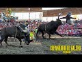 ES EL TORO MAS  BRAVO DE RANCHO EL AGUAJE!!!!! 2O TOROS COPANDARO 2019