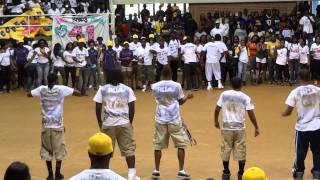 PV Shuffle 2011 (Building 36)