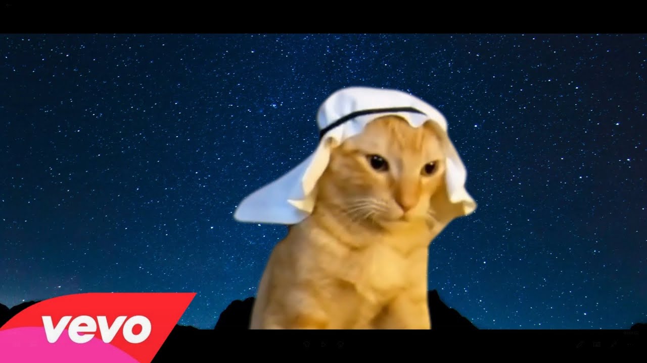Arabian cat   Official Music VIdeo ftPanjabi MC