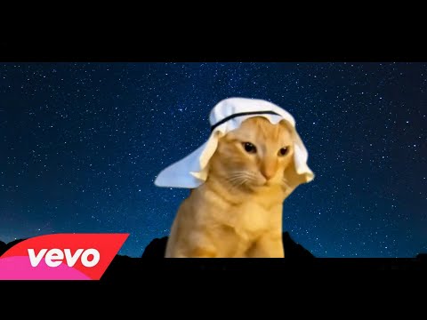 Arabian cat -