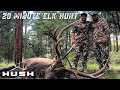 OPENING DAY ARCHERY ELK HUNT | 20 MINUTES INTO FIRST LIGHT!