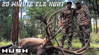 OPENING DAY ARCHERY ELK HUNT | 20 MINUTES INTO FIRST LIGHT!