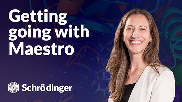 Getting going with Maestro