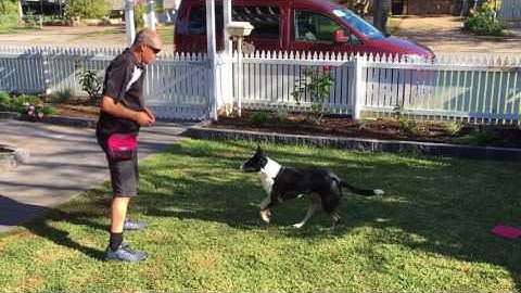 10 3 build a chain using back chaining version 2