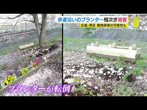 花が植えられたプランターが相次ぎ被害 “4月だけで5件”　警察「器物損壊の可能性も」　桜並木の下の歩道沿い