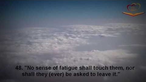 الشاب الصغير أنس الشهاب تلاوات رائعة ومؤثرة YouTube