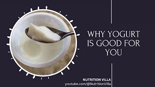 What Happens if You Eat Yogurt Every Day? 💖 10 Health Benefits of Eating Yoghurt Every Day