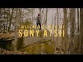 First Two Days with the SonyA7sii (Test Footage)