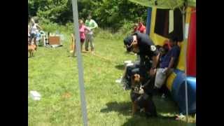 K-9 Demonstration.avi