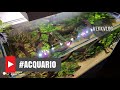 Acquario e consigli - aquarium and tips - By VekkVlog 😎