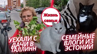 Эстония.Уезжаем с дачи в Таллинн.Магазин в провинции Эстонии.Мы дома!Закупка и обзор покупок.Влог
