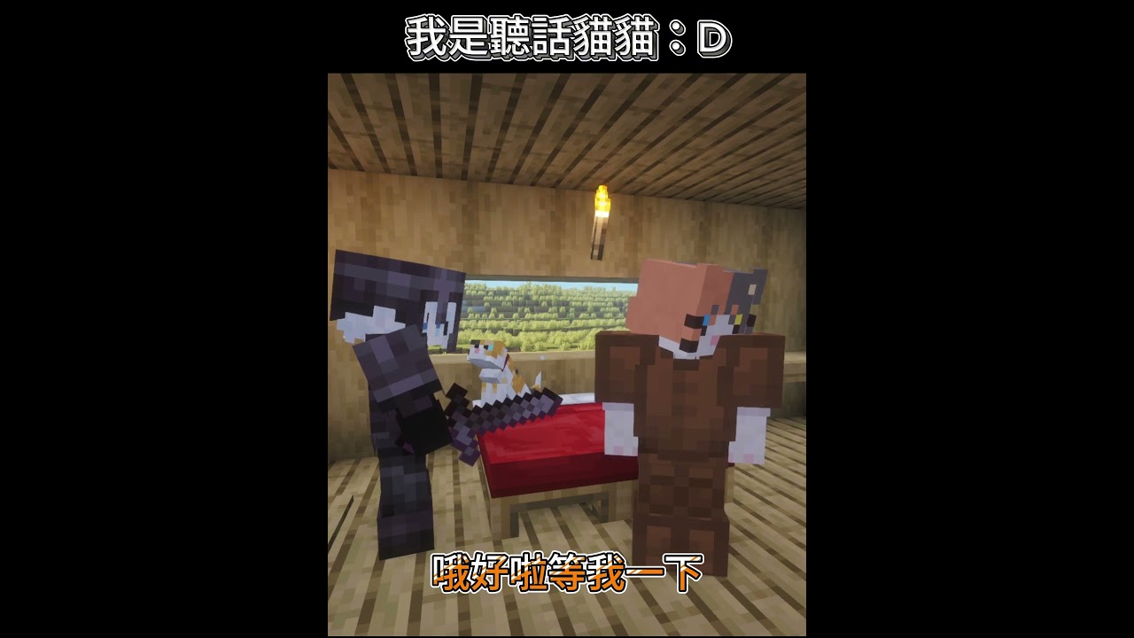 我是聽話喵喵：D #minecraft #minecraftshorts #minecraftmemes | MYViki
