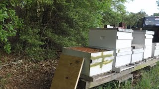Hive Split Moves-Vertical Tops w/ Queens