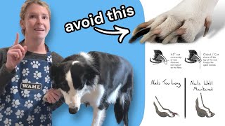 Receding Your Dog's Quicks Safely & Effectively: Groomers Tips for Success!