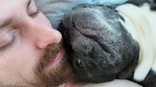 The French bulldog helped me recover
