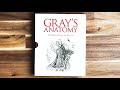 How Gray's Anatomy Became a Thing | Corporis