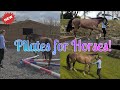 Groundwork, polework, core strength- HORSE PILATES!