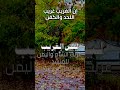 ليس الغريب غريب الشام واليمني 1 للمنشد عبدالكريم مهيوب