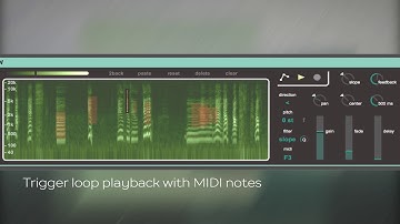 Iota - Max for Live Granular Looper