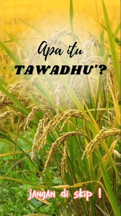 Arti Tawadhu #kataislam #belajarislam #kataislami #kontenislami #istilahislam #tawadu #shorts
