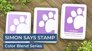 Simon Says Stamp Pawsitively Saturated Ink Color Blend Series by Jessica Vasher Designs 221 views 3 months ago 10 minutes, 8 seconds
