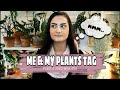 ME &amp; MY PLANTS TAG |  Houseplant Tag | Q&amp;A