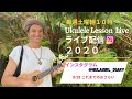 パート10【ウクレレ初心者レッスン・インスタライブ】Ukulele 101 Lesson Instagram Live -10