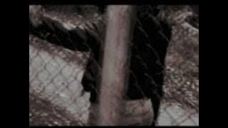 101 Ft. Marvelous D & Sandra Olijade - Who's Foolin' Who